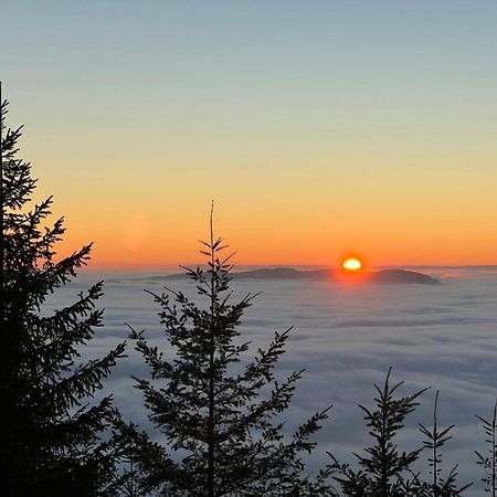 Romantisches Winzerhaeuschen Bühl Dış mekan fotoğraf