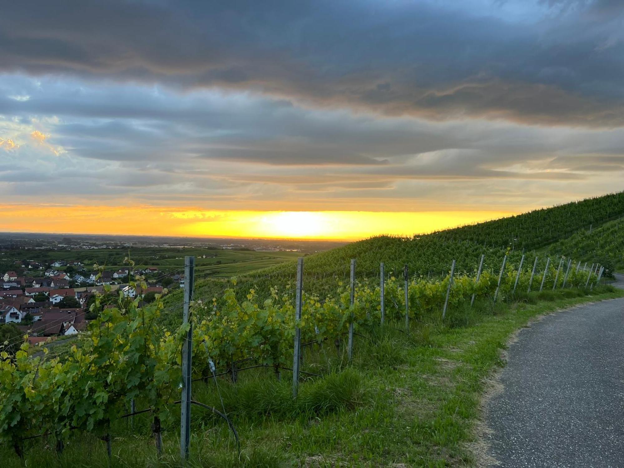 Romantisches Winzerhaeuschen Bühl Dış mekan fotoğraf
